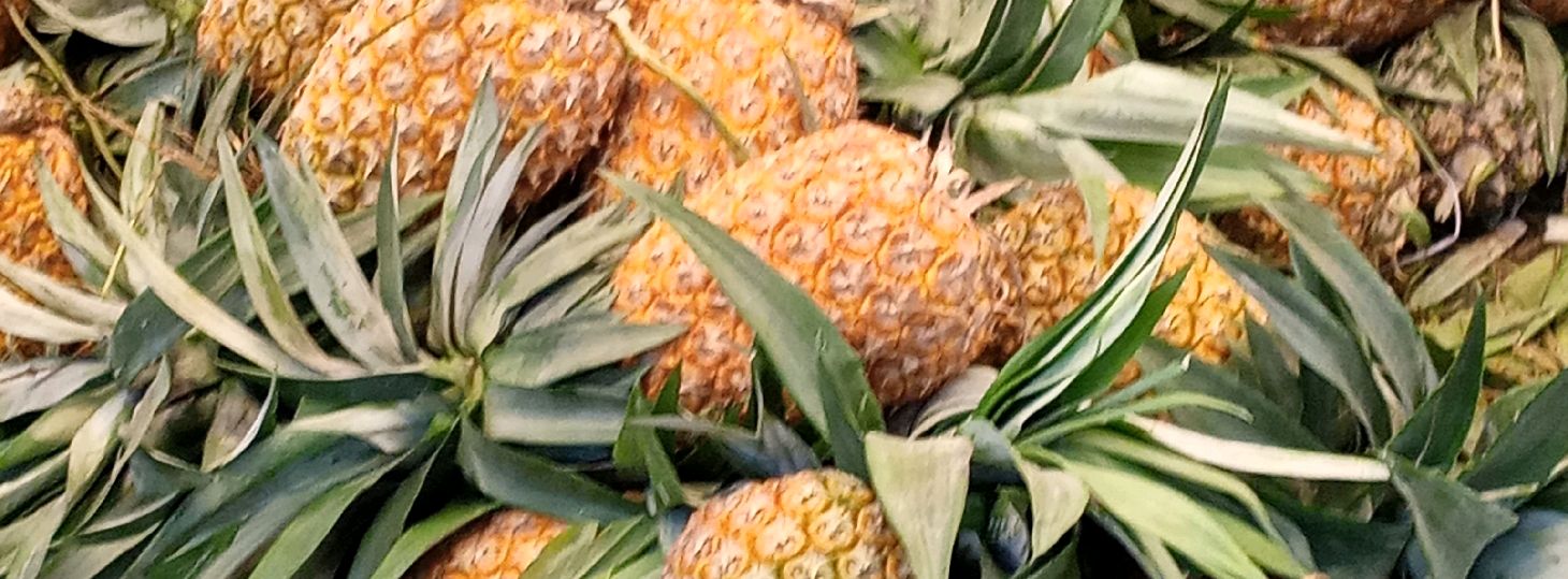 Meghna Farm