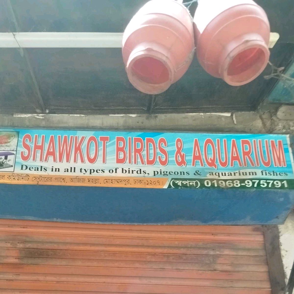 Shawkot Birds & Aquarium