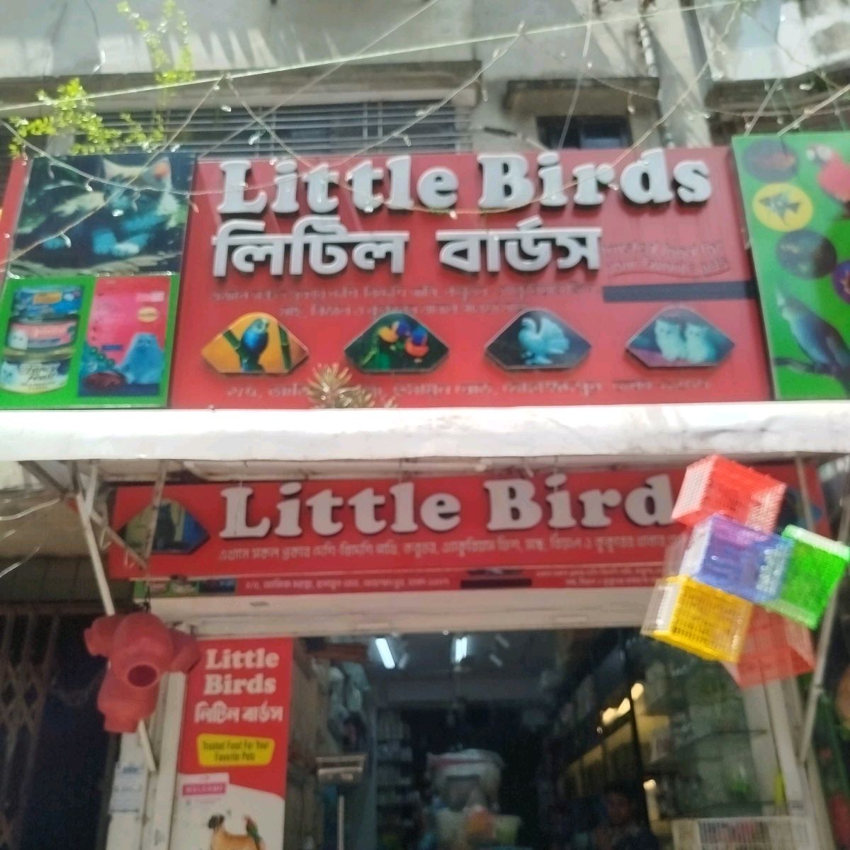 Little Birds