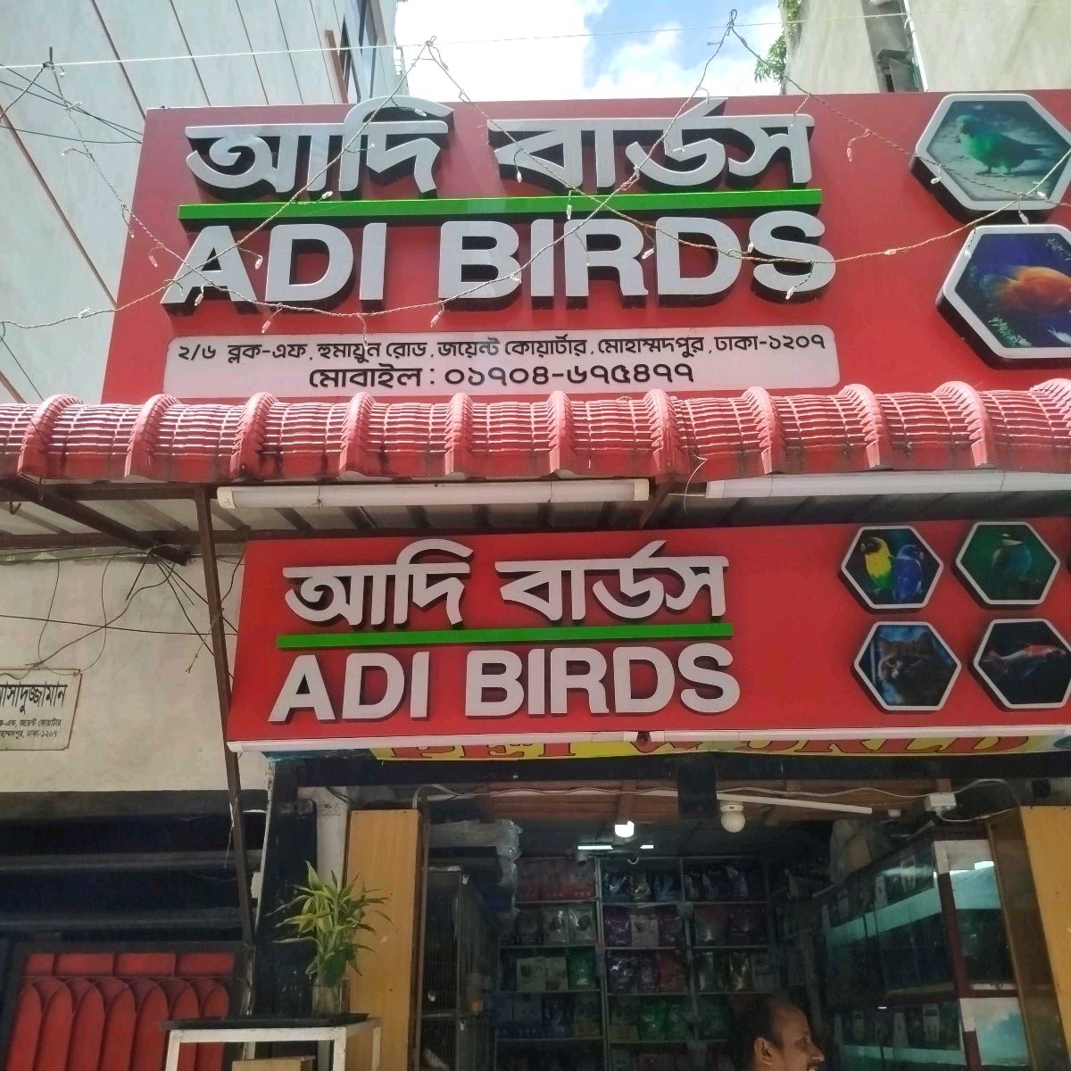 Adi Birds