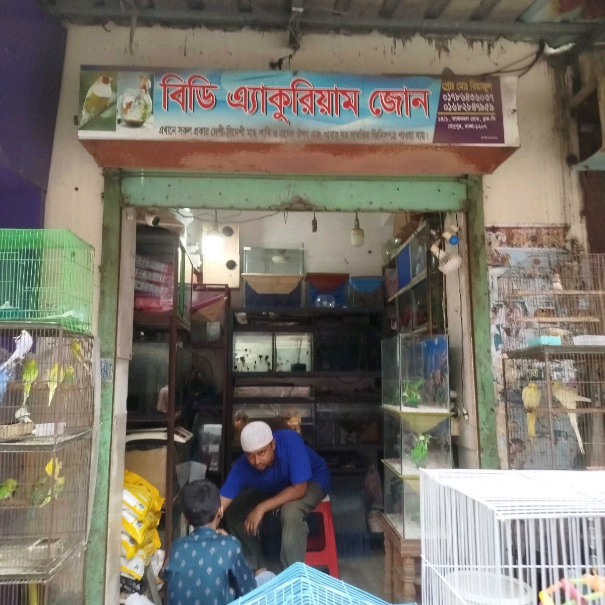 BD Aquarium Zone