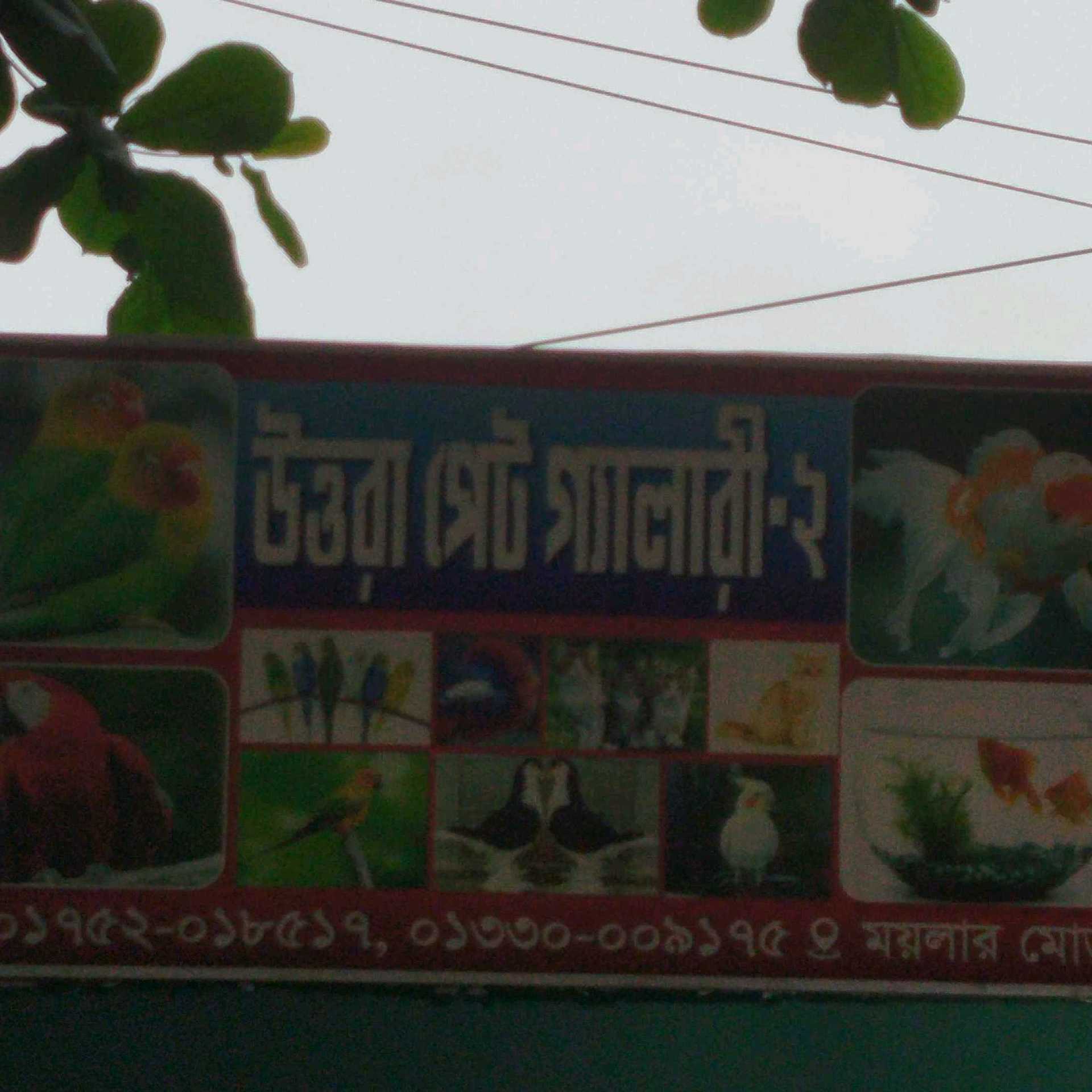 Uttara Pet Gallery
