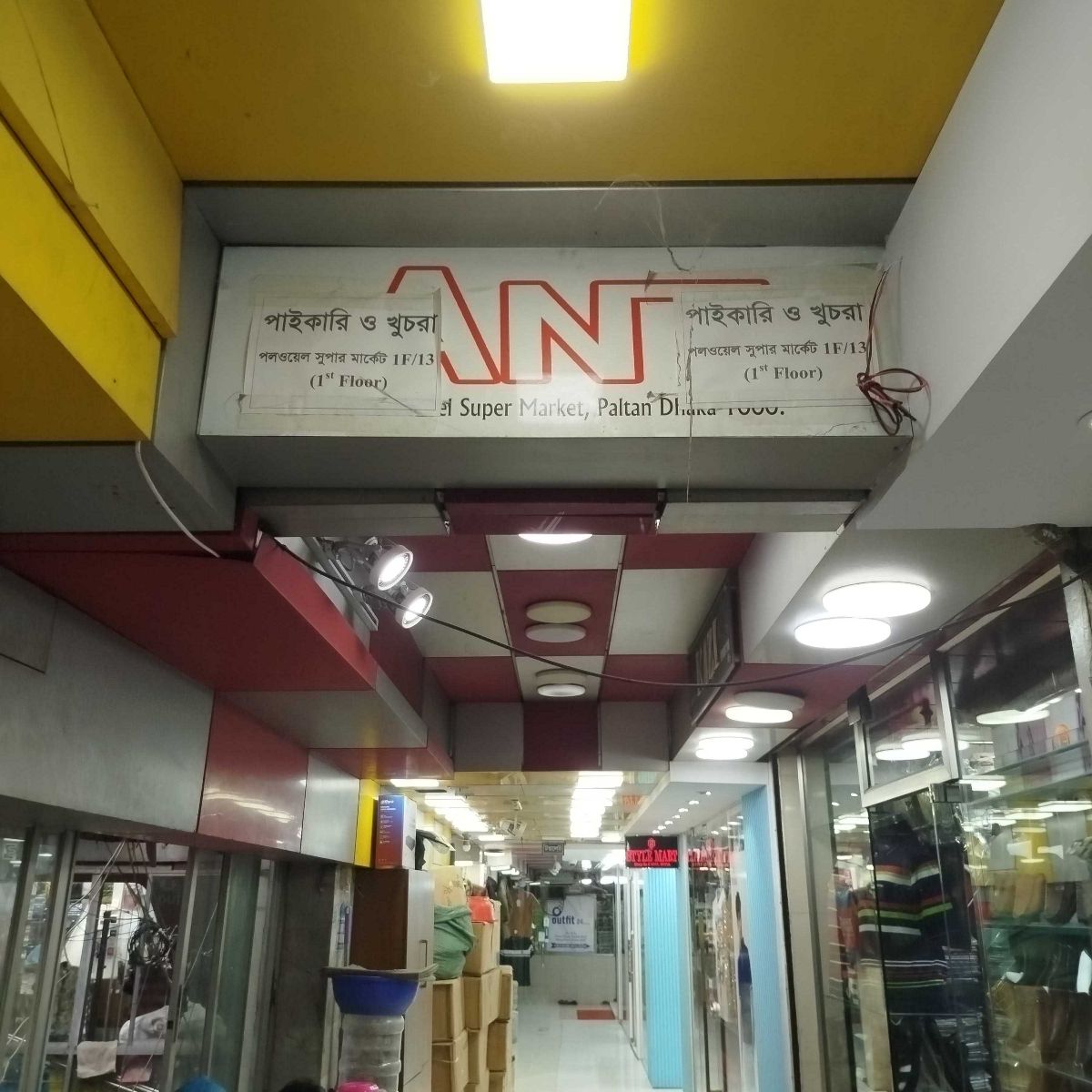Ant