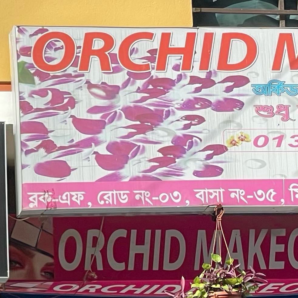 Orchid Makeover