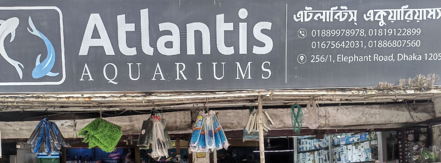 Atlantis Aquarium